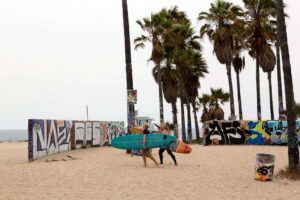 Catch the Perfect Wave: Your Guide to Surfing Venice Beach